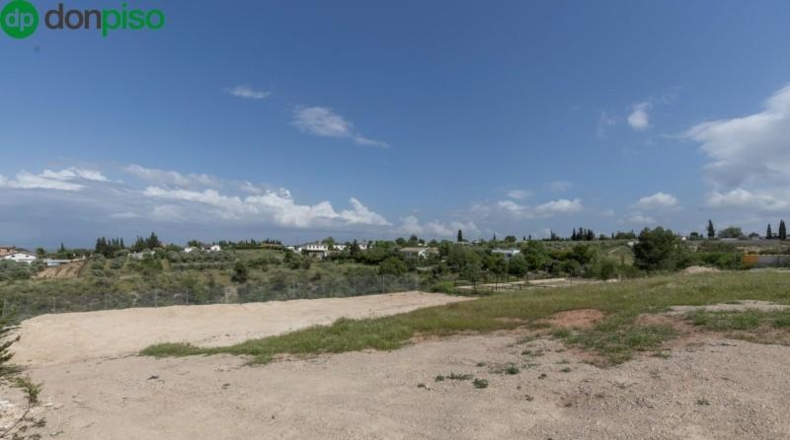 Granada - Moraleda de Zafayona - 3891m2