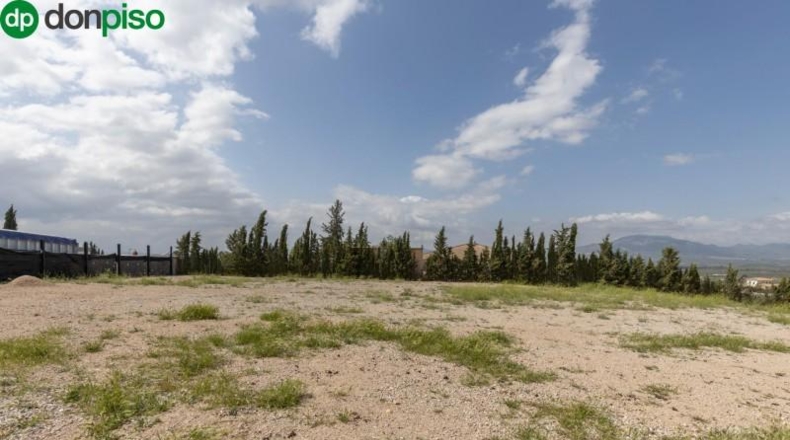 Granada - Moraleda de Zafayona - 3891m2