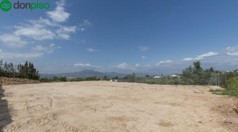 Granada - Moraleda de Zafayona - 3891m2