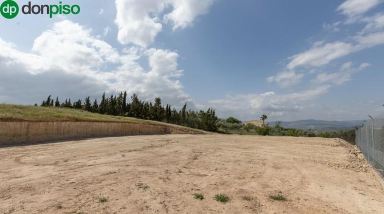 Granada - Moraleda de Zafayona - 3891m2