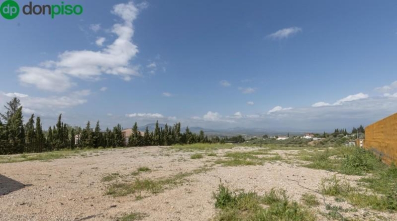 Granada - Moraleda de Zafayona - 3891m2