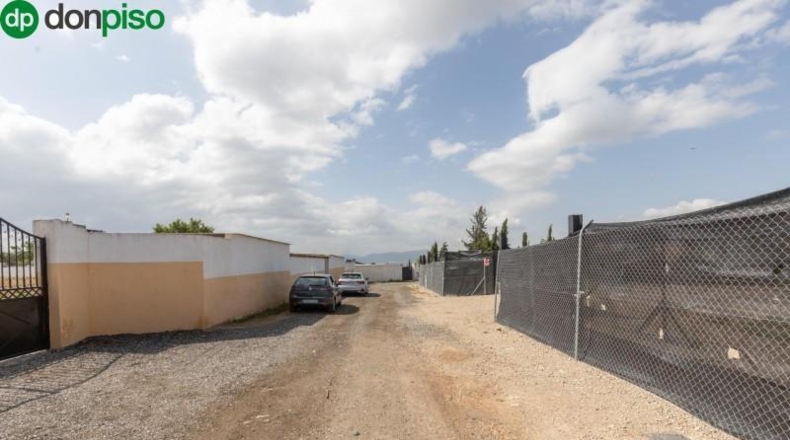Granada - Moraleda de Zafayona - 3891m2