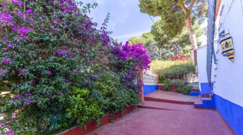 Valencia - Sagunto - 704m2