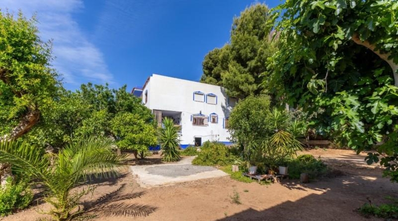 Valencia - Sagunto - 704m2