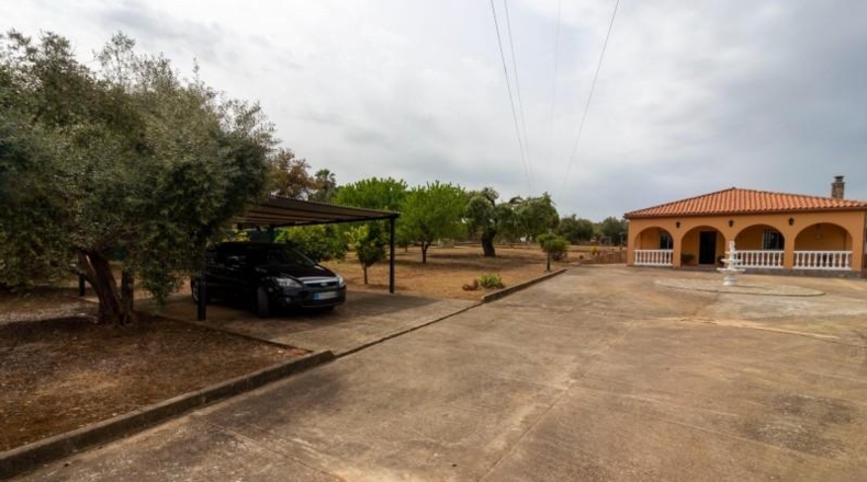 Badajoz - Badajoz - 5000m2