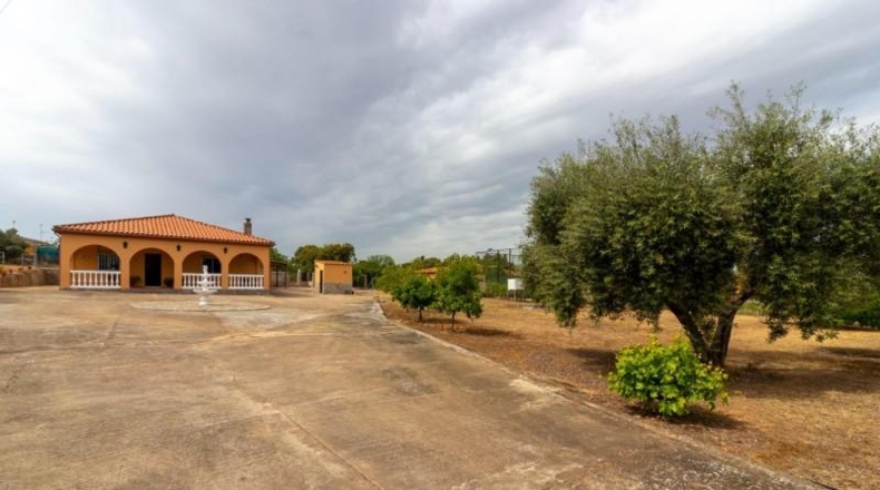 Badajoz - Badajoz - 5000m2