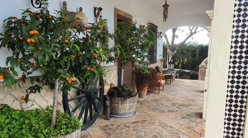 Sevilla - El Coronil - 2500m2