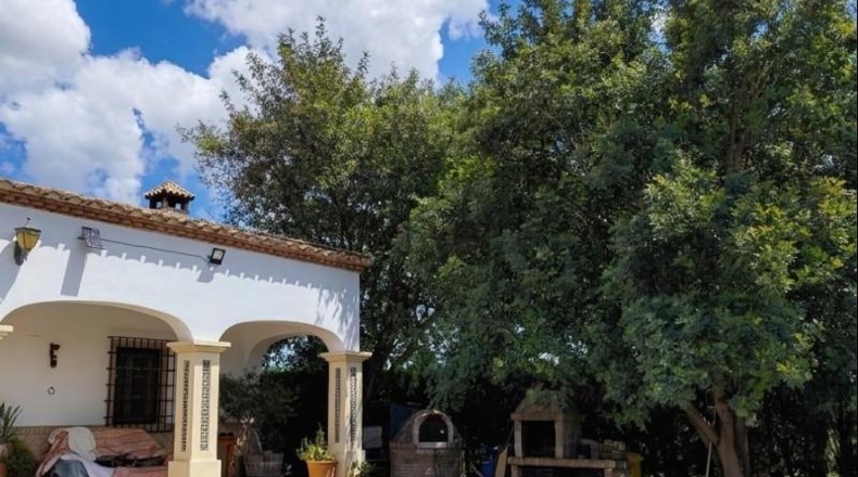 Sevilla - El Coronil - 2500m2