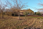 Отдельно стоящий дом с участком на продажу в городе Каррион-де-Калатрава Фото