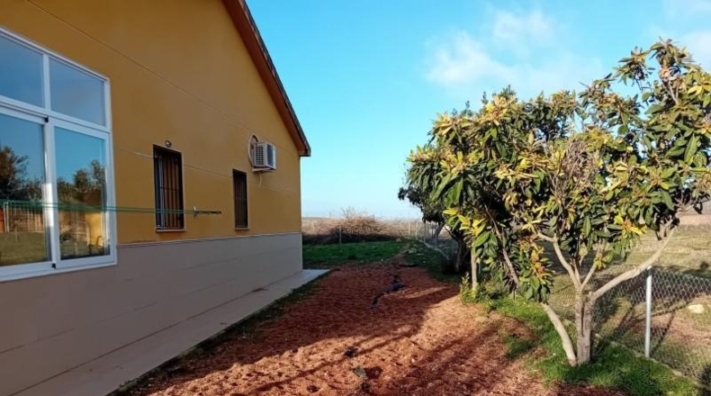 Ciudad Real - Carrión de Calatrava - 12000m2