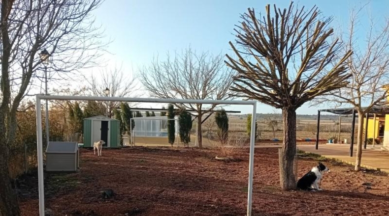 Ciudad Real - Carrión de Calatrava - 12000m2