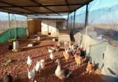 Отдельно стоящий дом с участком на продажу в городе Каррион-де-Калатрава Фото