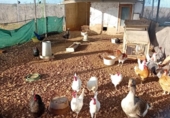 Отдельно стоящий дом с участком на продажу в городе Каррион-де-Калатрава Фото
