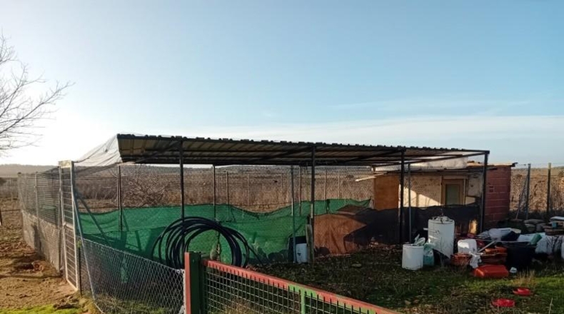 Ciudad Real - Carrión de Calatrava - 12000m2