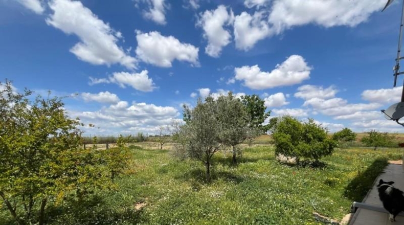 Ciudad Real - Carrión de Calatrava - 12000m2