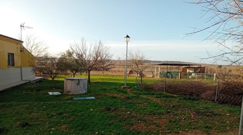 Ciudad Real - Carrión de Calatrava - 12000m2