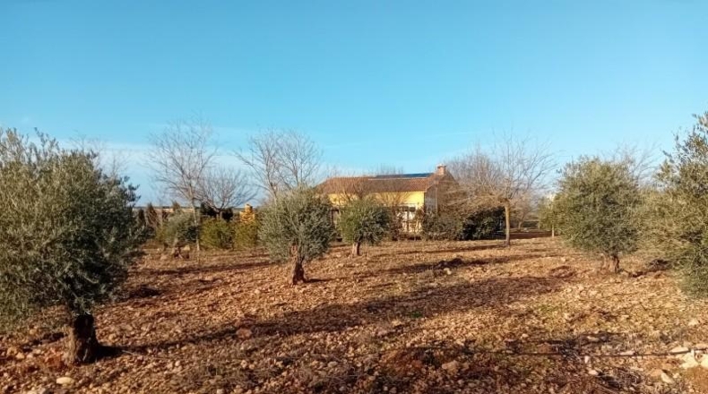 Ciudad Real - Carrión de Calatrava - 12000m2