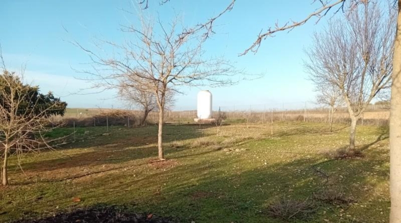 Ciudad Real - Carrión de Calatrava - 12000m2