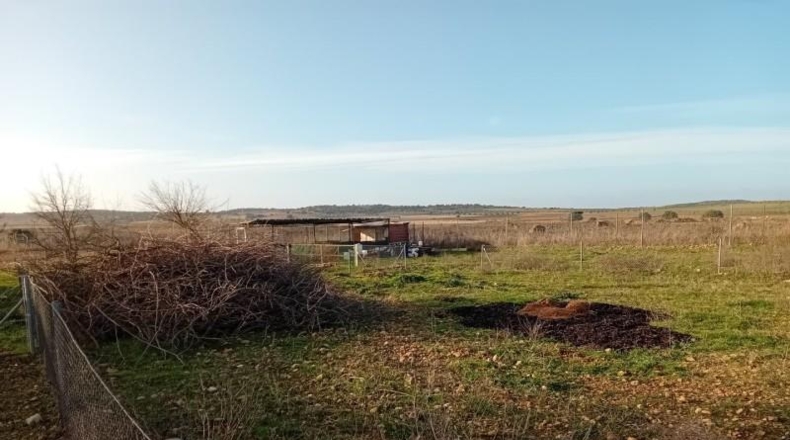 Ciudad Real - Carrión de Calatrava - 12000m2