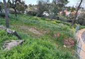 Sòl urbà en venda a la España, Còrdova, ref.: TR410780 foto