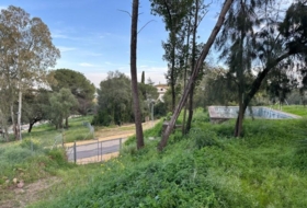 Còrdova 1290&nbsp;m² 