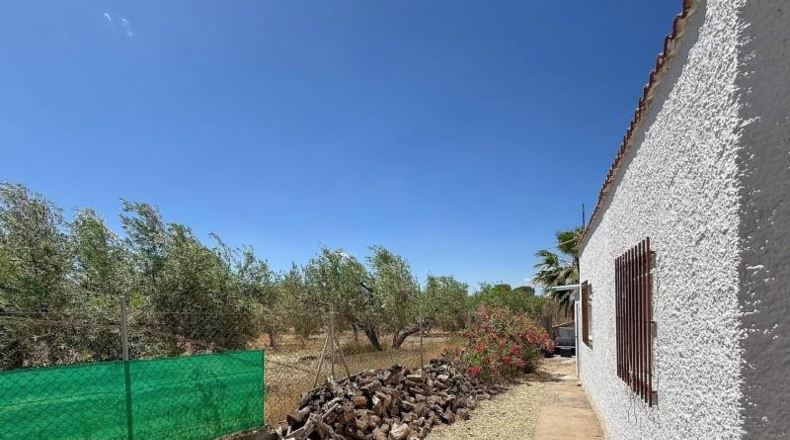 Almería - Tabernas - 4500m2