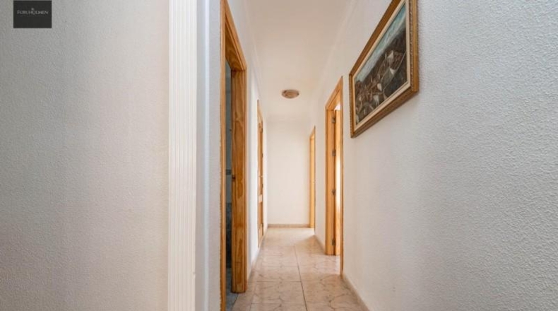 Granada - Guadix - 477m2