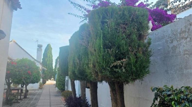 Málaga - Campo-Mijas - 82m2