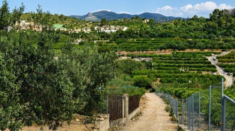 Valencia - Castellonet de la Conquesta - 38000m2
