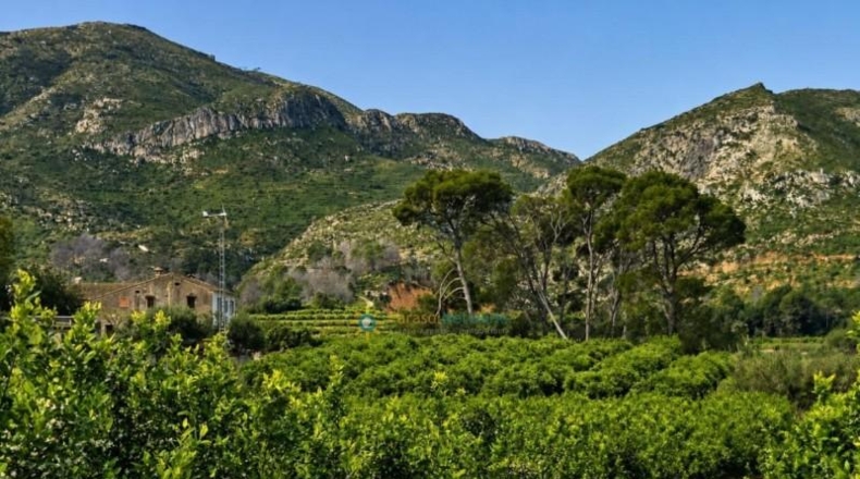Valencia - Castellonet de la Conquesta - 38000m2