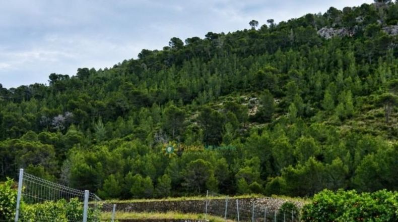Valencia - Castellonet de la Conquesta - 38000m2