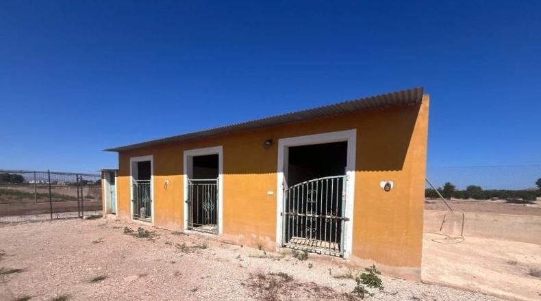 Alicante - Daia Nova - 7617m2