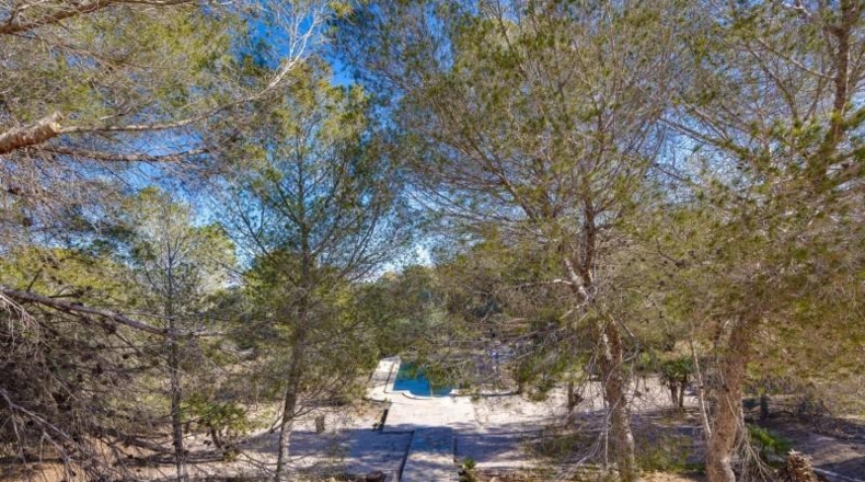 Alicante - Torrevieja - 18850m2