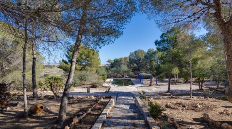 Alicante - Torrevieja - 18850m2