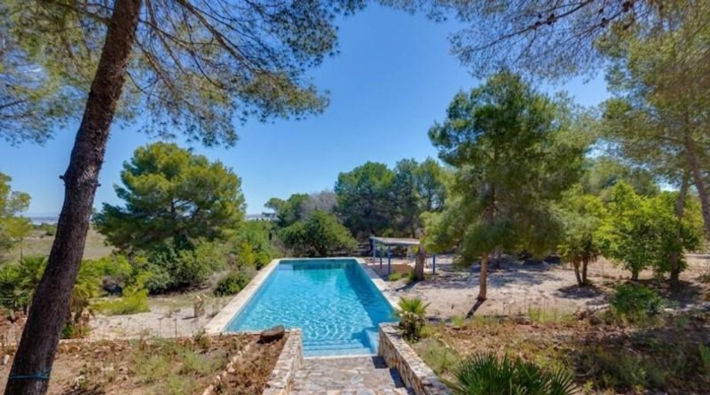 Alicante - Torrevieja - 18850m2