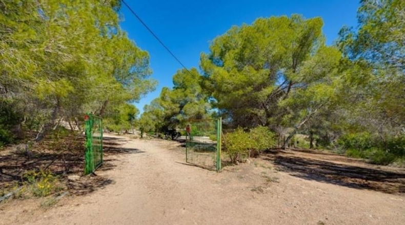 Alicante - Torrevieja - 18850m2