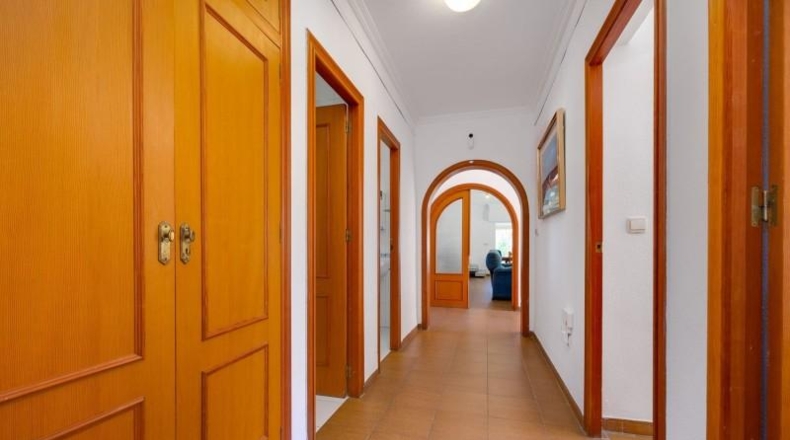 Alicante - Torrevieja - 18850m2