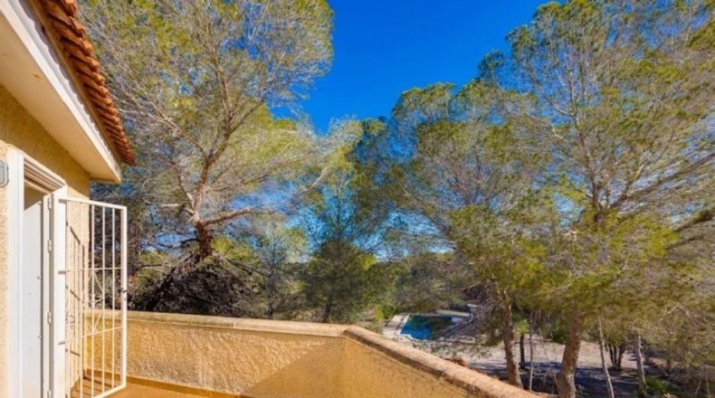 Alicante - Torrevieja - 18850m2
