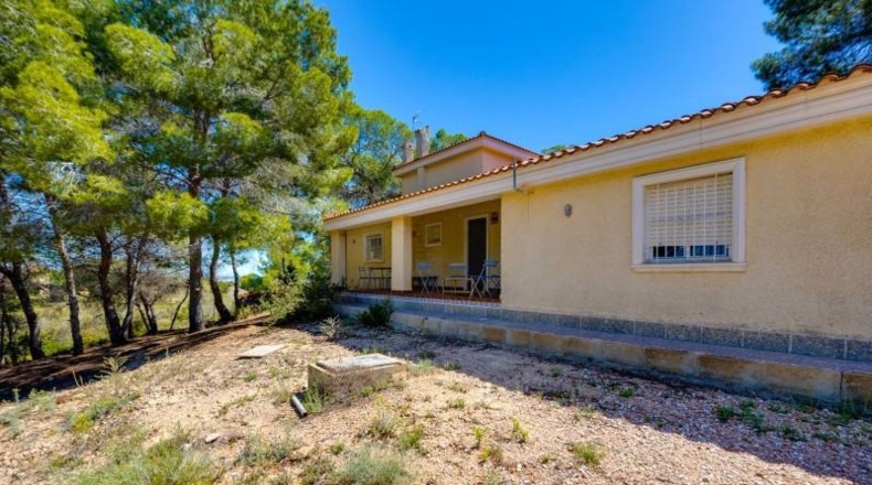 Alicante - Torrevieja - 18850m2