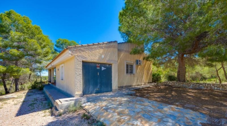 Alicante - Torrevieja - 18850m2