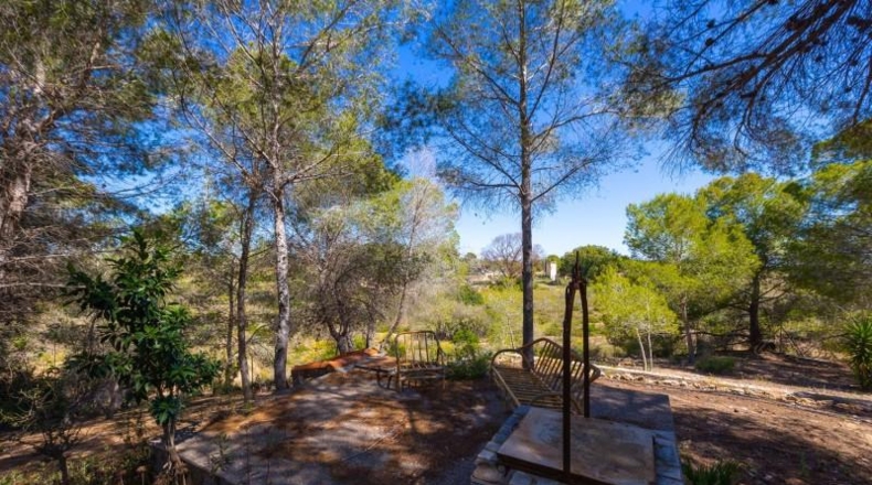 Alicante - Torrevieja - 18850m2