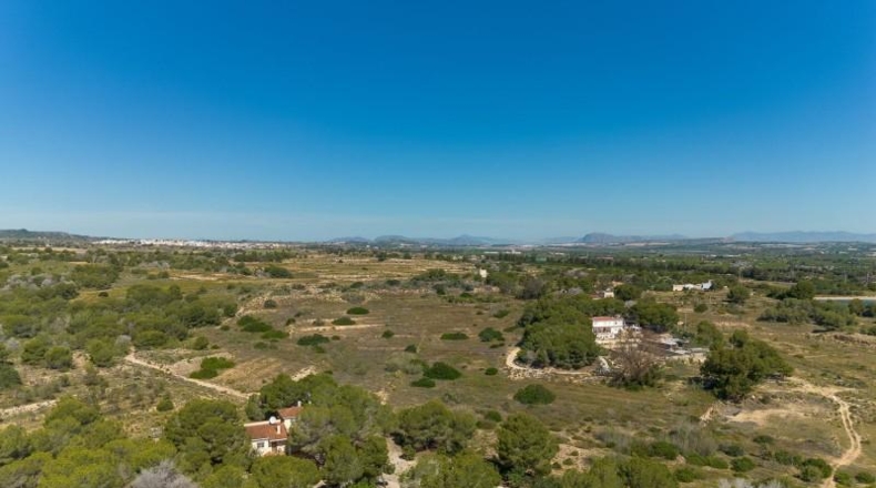 Alicante - Torrevieja - 18850m2
