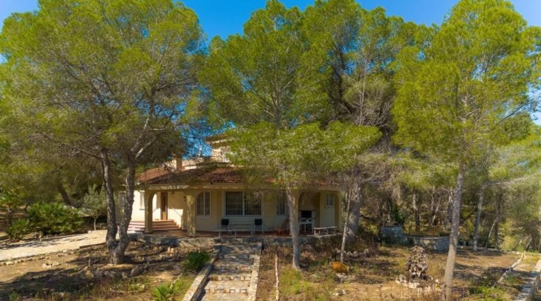 Alicante - Torrevieja - 18850m2