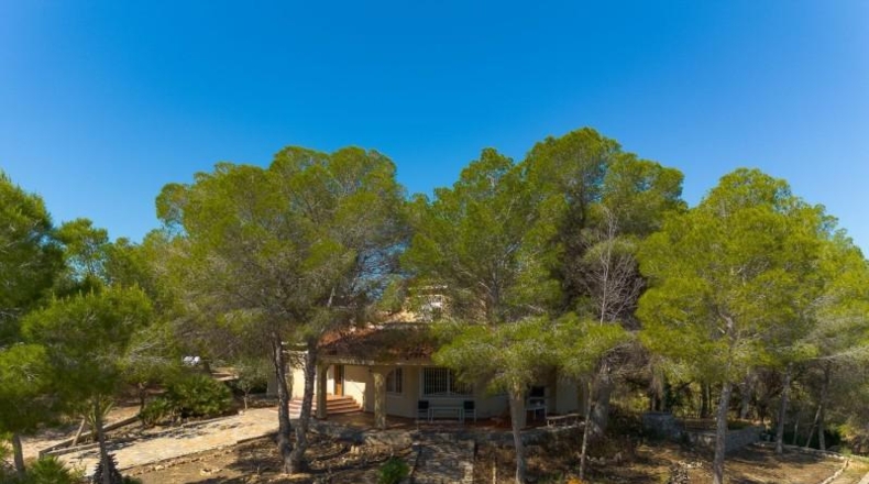Alicante - Torrevieja - 18850m2