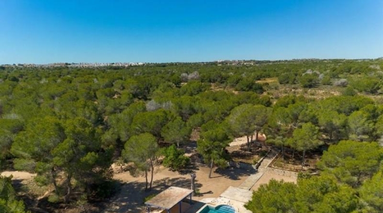 Alicante - Torrevieja - 18850m2