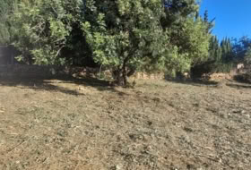 Turís 683&nbsp;m²