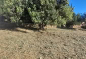 Parcela urbanizable en venta en la Urbanización Blasques 3, Turís, ref: TR410753 foto