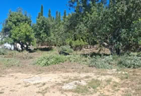 Turís 683&nbsp;m²