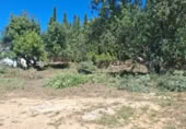 Parcela urbanizable en venta en la Urbanización Blasques 3, Turís, ref: TR410753 foto