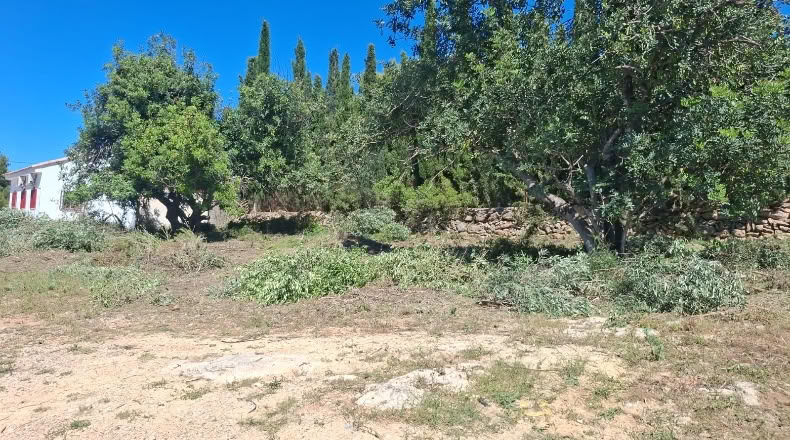 Valencia - Turís - 683m2